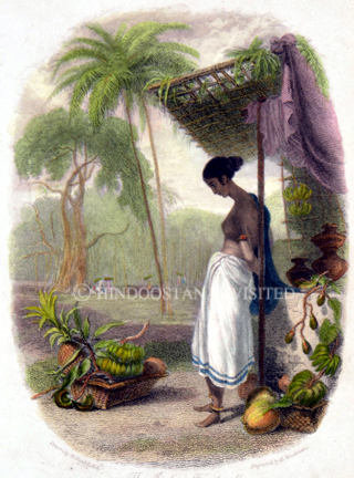 /data/Original Prints/Portraiture, Portraits, Occupations, Trades and Professions, People/THE INDIAN FRUIT-SELLER.jpg